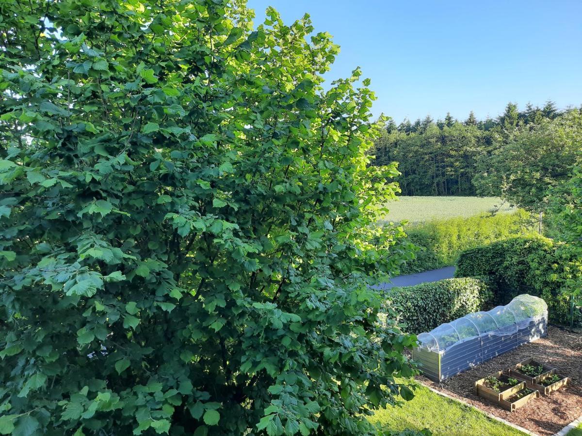 Ferienwohnung Rosi Schleswig Esterno foto